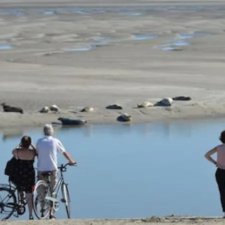 Hamac Face Berck
